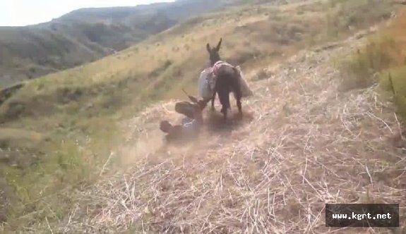 Karaman’da Eşekten Düşen Yaşlı Adam Öldü