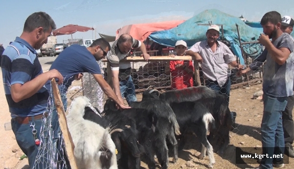 Kurban Pazarı Arefe Günü Hareketlendi