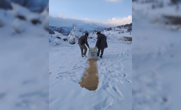 O İlçelerde Yaban Hayvanları İçin Yem Bırakıldı