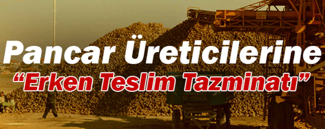 Ereğli Şeker Fabrikasından Pancar Üreticilerine Erken Teslim Tazminatı