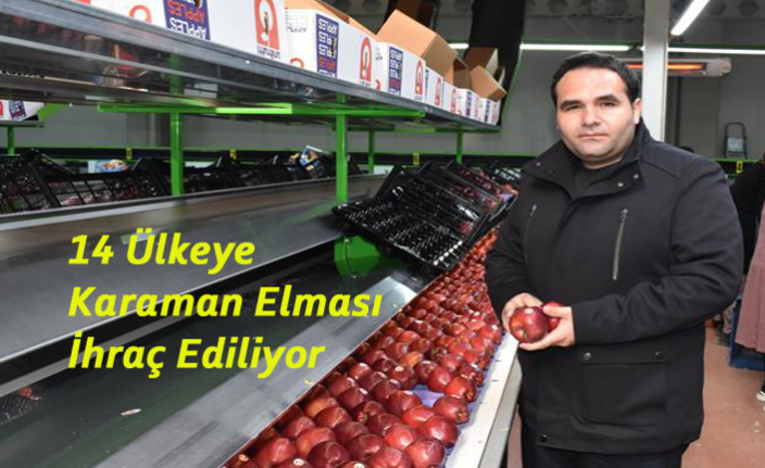 14 Ülkeye Karaman Elması İhraç Ediliyor