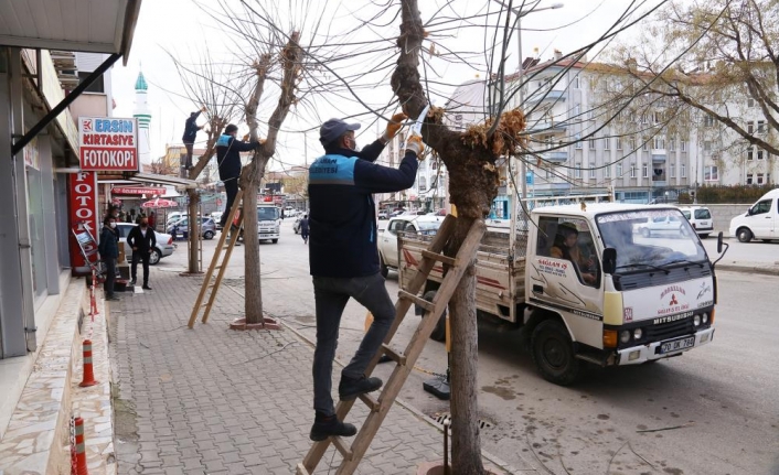 Karaman Belediyesi Ağaçları Budayarak Geri Dönüşüme Kazandırıyor