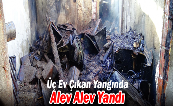 Köyde Çıkan Yangında Üç Ev, Alev Alev Yandı 