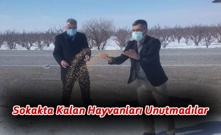 Sokakta Kalan Hayvanları Unutmadılar