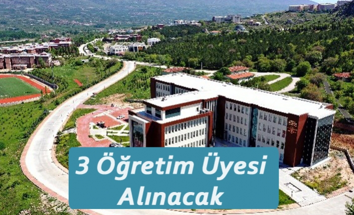 3 Öğretim Üyesi Alınacak