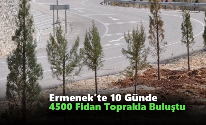 Ermenek’te 10 Günde 4500 Fidan Toprakla Buluştu