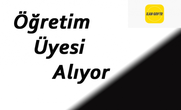 Öğretim Üyesi Alıyor