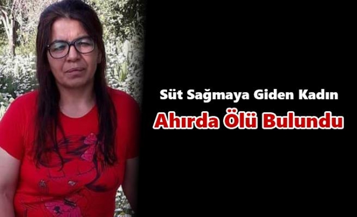 Süt Sağmaya Giden Kadın Ahırda Ölü Bulundu