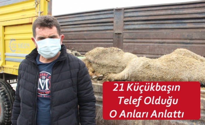 21 Küçükbaşın Telef Olduğu O Anları Anlattı