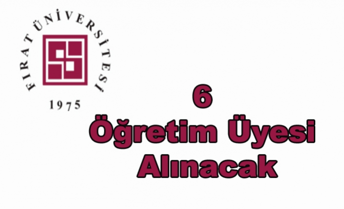 6 Öğretim Üyesi Alınacak