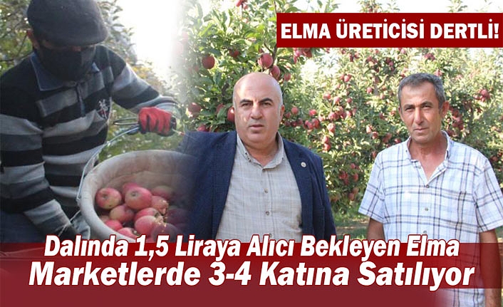 Dalında 1,5 Liraya Alıcı Bekleyen Elma, Kentteki Zincir Marketlerde 3-4 Katına Satılıyor