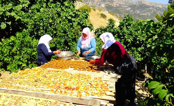 Türkiye’nin Tek Farklı İklimine Sahip Köyünde İncir Pestili Yapıyorlar