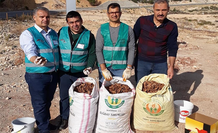 Adliye Çalışanları Dik Yamaçlara Tohum Serpti