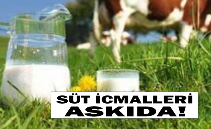 Süt İcmalleri Askıya Çıkartıldı