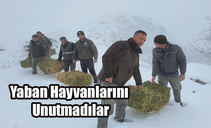 Yaban Hayvanlarını Unutmadılar