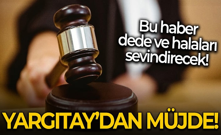 Dede ve Halalara Yargıtay'dan Müjde