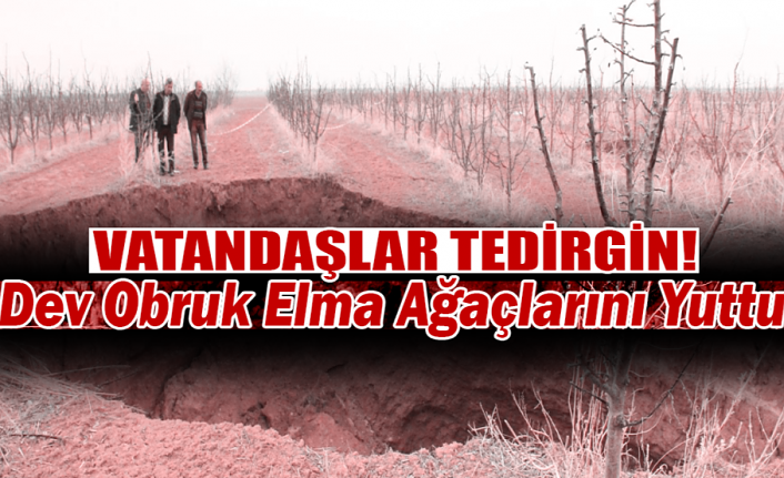 Karaman’da Dev Obruk Elma Ağaçlarını Yuttu