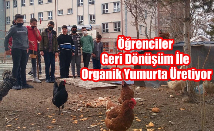 Öğrenciler Geri Dönüşüm İle Organik Yumurta Üretiyor