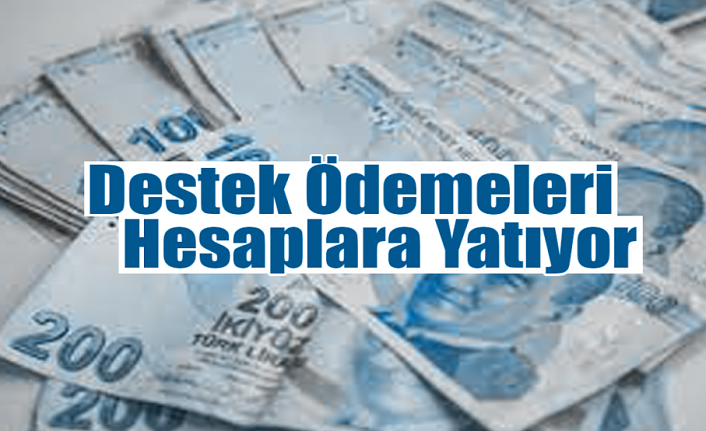 Destek Ödemeleri Hesaplara Yatıyor