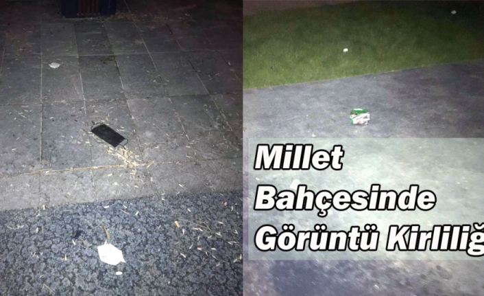 Millet Bahçesinde Görüntü Kirliliği