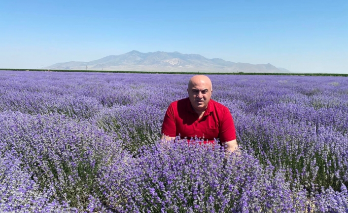 Mehmet Bayram: Lavanta Alternatif Olacak