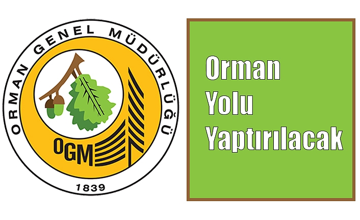 Orman Yolu Yaptırılacak