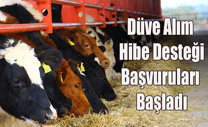 Düve Alım Hibe Desteği Başvuruları Başladı