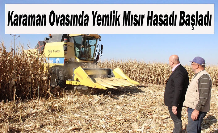 Karaman Ovasında Yemlik Mısır Hasadı Başladı