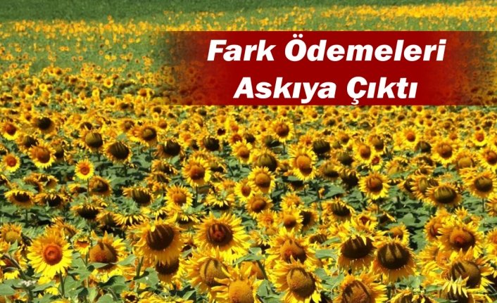 Fark Ödemeleri Askıya Çıktı