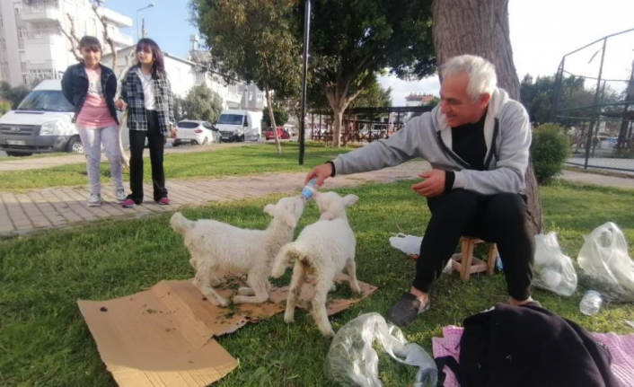 Karaman’dan Aldığı Kuzuları Biberonla Besliyor