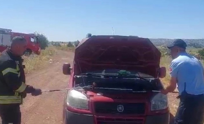 Park Halindeki Aracın Motorundan 1.5 Metre Uzunluğunda Yılan Çıktı