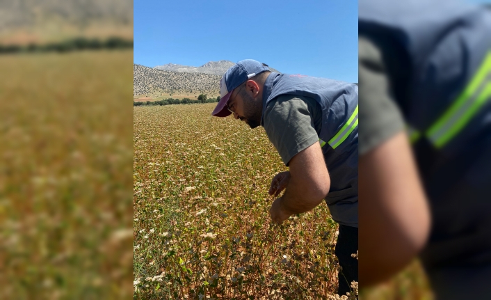 TAKE Proje Alanları Kontrol Edildi