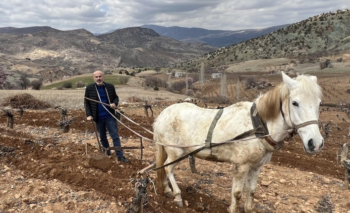 Karaman'da Geleneksel Tarım