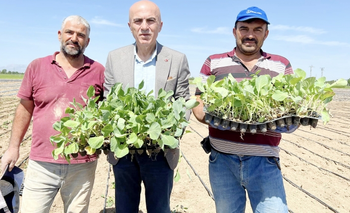 Başkan Bayram: “Emeğin ve Helal Kazancın Adıdır Çiftçi”