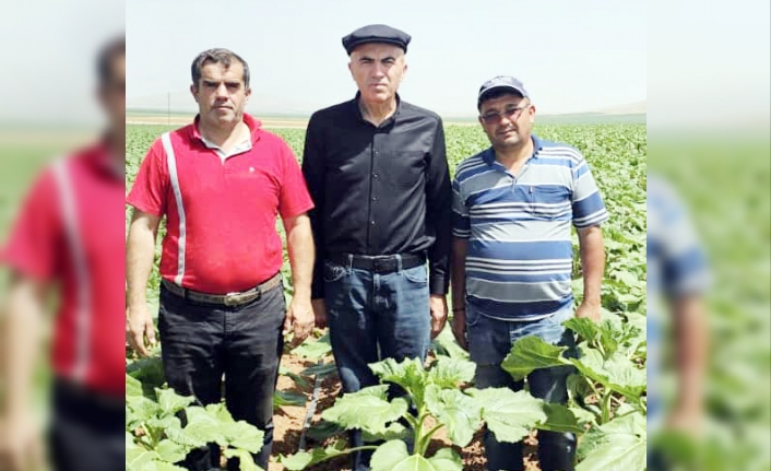 Üreticileri Ziyaret Etmeye Devam Ediyor