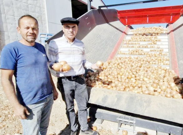 Karaman'da Kuru Soğan Üreticisinin Yüzünü Güldürüyor