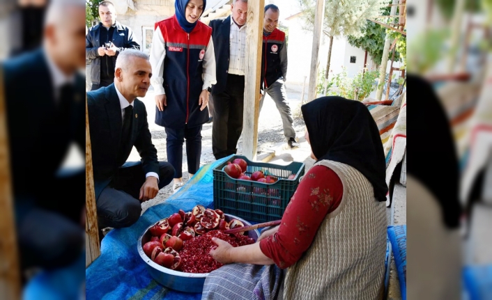 Karaman Valisi Çiçekli'den Köylere Çıkarma