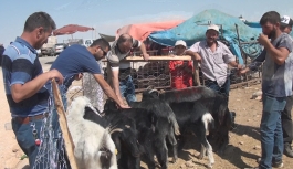 Kurban Pazarı Arefe Günü Hareketlendi