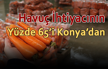 Havuç İhtiyacının Yüzde 65’i Konya’dan