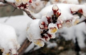 Meteroloji’den Karaman’a Zirai Don Uyarısı