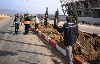 Orta Refüjlerde Ağaçladırma Çalışması