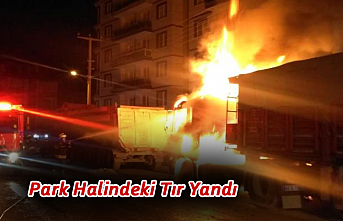 Park Halindeki Tır Yandı