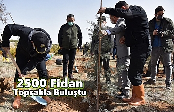 2500 Fidan Toprakla Buluştu