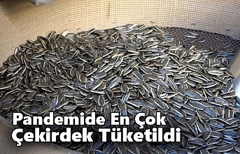 Pandemide En Çok Çekirdek Tüketildi