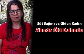 Süt Sağmaya Giden Kadın Ahırda Ölü Bulundu