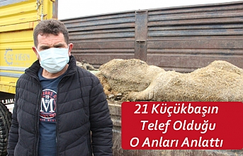 21 Küçükbaşın Telef Olduğu O Anları Anlattı