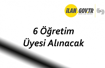 6 Öğretim Üyesi Alınacak