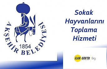 Sokak Hayvanlarını Toplama Hizmeti