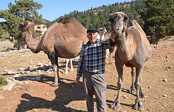 Sarıkeçili Yörüklerinin Bin Yıllık Göçerlik...