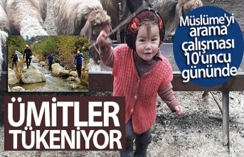 Ümitler Tükeniyor... Müslüme'yi Arama Çalışması...